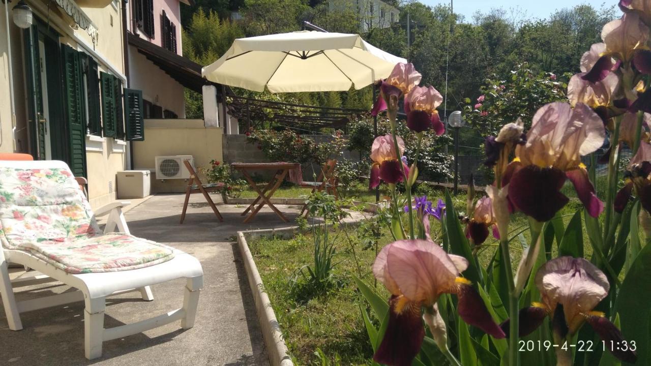 Alle Rose Barcolane Trieste Luaran gambar